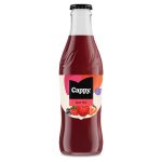 Cappy Eper Mix 0,25 üv. 34% 24/#