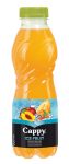 Cappy Ice Fruit Őszi-Dinnye 12% 0.5l 12/# DRS